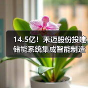 14.5亿！禾迈股份投建储能系统集成智能制造项目（图3）