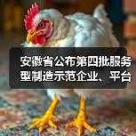 安徽省公布第四批服务型制造示范企业、平台名单（图2）