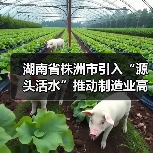 湖南省株洲市引入“源头活水”推动制造业高质量发展(图4) 湖南省株洲市引入“源头活水”推动制造业高质量发展(图4)