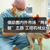 借助国内外市场“两条腿”走路 工程机械业成就太亮眼(图1) 借助国内外市场“两条腿”走路 工程机械业成就太亮眼(图1)