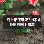 离上市还远吗?4家企业进行网上路演(图4) 离上市还远吗?4家企业进行网上路演(图4)