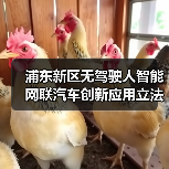 浦东新区无驾驶人智能网联汽车创新应用立法表决通过(图2) 浦东新区无驾驶人智能网联汽车创新应用立法表决通过(图2)