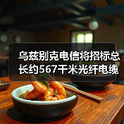 乌兹别克电信将招标总长约567千米光纤电缆（图3）