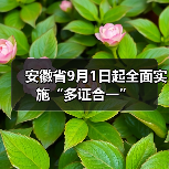 安徽省9月1日起全面实施“多证合一”(图1) 安徽省9月1日起全面实施“多证合一”(图1)