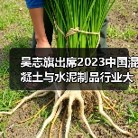 吴志旗出席2023中国混凝土与水泥制品行业大会开幕式并致辞(图2) 吴志旗出席2023中国混凝土与水泥制品行业大会开幕式并致辞(图2)