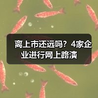离上市还远吗?4家企业进行网上路演(图3) 离上市还远吗?4家企业进行网上路演(图3)