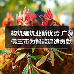 构筑建筑业新优势 广深佛三市为智能建造贡献广东力量（图1）