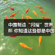 中国制造“闪耀”世界杯 你知道这些都是中国造吗?(图3) 中国制造“闪耀”世界杯 你知道这些都是中国造吗?(图3)