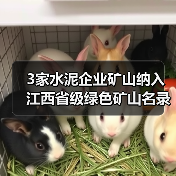 3家水泥企业矿山纳入江西省级绿色矿山名录(图4) 3家水泥企业矿山纳入江西省级绿色矿山名录(图4)