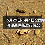 5月29日-6月4日全国物流保通保畅运行情况(图1) 5月29日-6月4日全国物流保通保畅运行情况(图1)