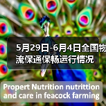 5月29日-6月4日全国物流保通保畅运行情况(图2) 5月29日-6月4日全国物流保通保畅运行情况(图2)