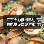 广东大力推进电动汽车充电基设建设 带动工程机械市场需求(图2) 广东大力推进电动汽车充电基设建设 带动工程机械市场需求(图2)