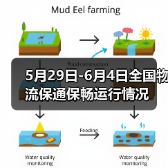 5月29日-6月4日全国物流保通保畅运行情况(图3) 5月29日-6月4日全国物流保通保畅运行情况(图3)