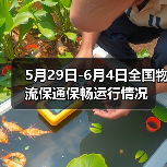 5月29日-6月4日全国物流保通保畅运行情况(图4) 5月29日-6月4日全国物流保通保畅运行情况(图4)
