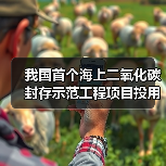 我国首个海上二氧化碳封存示范工程项目投用（图3）