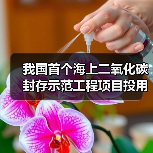 我国首个海上二氧化碳封存示范工程项目投用（图4）