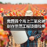 我国首个海上二氧化碳封存示范工程项目投用（图2）
