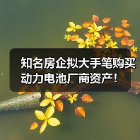 知名房企拟大手笔购买动力电池厂商资产！（图1）