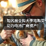 知名房企拟大手笔购买动力电池厂商资产！（图3）