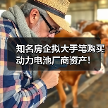 知名房企拟大手笔购买动力电池厂商资产！（图2）