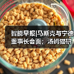 智能早报|马斯克与宁德董事长会面；汤姆猫研发AI交互产品（图2）