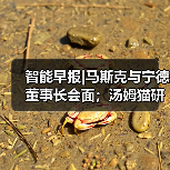 智能早报|马斯克与宁德董事长会面；汤姆猫研发AI交互产品（图3）