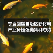 宁夏回族自治区新材料产业补链强链集群态势日益凸显（图4）