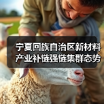 宁夏回族自治区新材料产业补链强链集群态势日益凸显（图2）