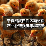 宁夏回族自治区新材料产业补链强链集群态势日益凸显（图1）