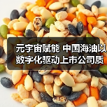 元宇宙赋能 中国海油以数字化驱动上市公司质量提升(图2) 元宇宙赋能 中国海油以数字化驱动上市公司质量提升(图2)