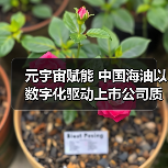 元宇宙赋能 中国海油以数字化驱动上市公司质量提升(图4) 元宇宙赋能 中国海油以数字化驱动上市公司质量提升(图4)