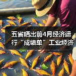 五省晒出前4月经济运行“成绩单”工业经济延续向好态势(图2) 五省晒出前4月经济运行“成绩单”工业经济延续向好态势(图2)