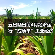 五省晒出前4月经济运行“成绩单”工业经济延续向好态势(图1) 五省晒出前4月经济运行“成绩单”工业经济延续向好态势(图1)