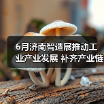6月济南智造展推动工业产业发展 补齐产业链完整 助力交易(图1) 6月济南智造展推动工业产业发展 补齐产业链完整 助力交易(图1)