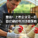 重磅!上市企业又一超百亿储能电池项目落地!(图3) 重磅!上市企业又一超百亿储能电池项目落地!(图3)