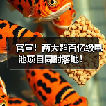 官宣!两大超百亿级电池项目同时落地!(图1) 官宣!两大超百亿级电池项目同时落地!(图1)