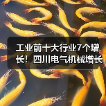 工业前十大行业7个增长!四川电气机械增长25.7%(图2) 工业前十大行业7个增长!四川电气机械增长25.7%(图2)