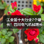 工业前十大行业7个增长!四川电气机械增长25.7%(图4) 工业前十大行业7个增长!四川电气机械增长25.7%(图4)