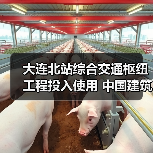 大连北站综合交通枢纽工程投入使用 中国建筑承建（图3）