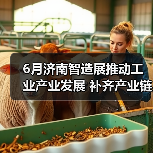 6月济南智造展推动工业产业发展 补齐产业链完整 助力交易(图4) 6月济南智造展推动工业产业发展 补齐产业链完整 助力交易(图4)