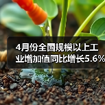 4月份全国规模以上工业增加值同比增长5.6%(图4) 4月份全国规模以上工业增加值同比增长5.6%(图4)