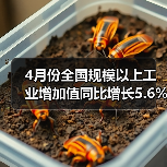 4月份全国规模以上工业增加值同比增长5.6%(图2) 4月份全国规模以上工业增加值同比增长5.6%(图2)