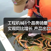 工程机械8个品类销量实现同比增长 产品出口表现强劲(图1) 工程机械8个品类销量实现同比增长 产品出口表现强劲(图1)