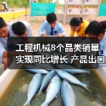 工程机械8个品类销量实现同比增长 产品出口表现强劲(图4) 工程机械8个品类销量实现同比增长 产品出口表现强劲(图4)