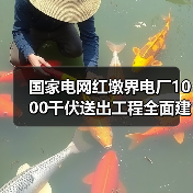 国家电网红墩界电厂1000千伏送出工程全面建成!(图4) 国家电网红墩界电厂1000千伏送出工程全面建成!(图4)