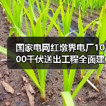 国家电网红墩界电厂1000千伏送出工程全面建成!(图3) 国家电网红墩界电厂1000千伏送出工程全面建成!(图3)