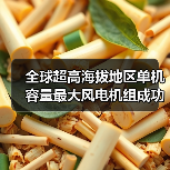 全球超高海拔地区单机容量最大风电机组成功吊装!(图4) 全球超高海拔地区单机容量最大风电机组成功吊装!(图4)