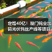 定增40亿!厦门钨业加码光伏钨丝产线等项目(图2) 定增40亿!厦门钨业加码光伏钨丝产线等项目(图2)