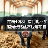 定增40亿!厦门钨业加码光伏钨丝产线等项目(图1) 定增40亿!厦门钨业加码光伏钨丝产线等项目(图1)