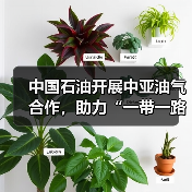 中国石油开展中亚油气合作,助力“一带一路”高质量建设(图4) 中国石油开展中亚油气合作,助力“一带一路”高质量建设(图4)